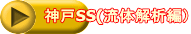 �_��SS(���̉�͕ҁj 